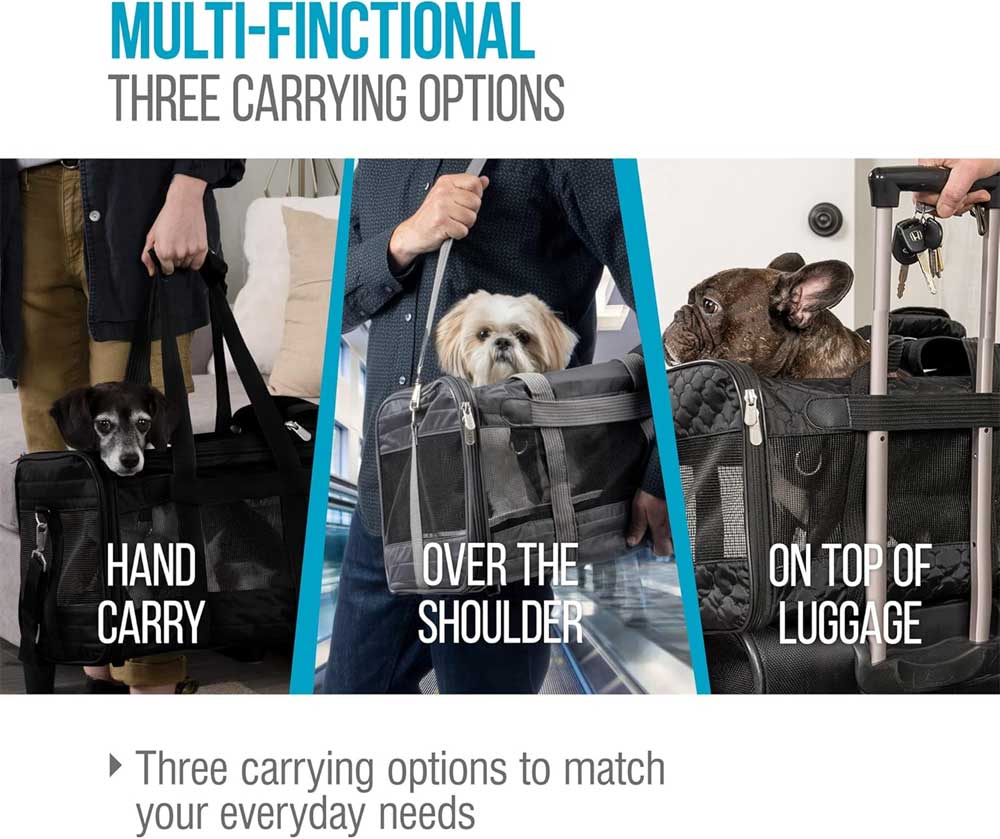 sas airline approved pet carrier