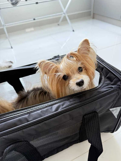 SAS hondendraagtas 40x25x23cm premium