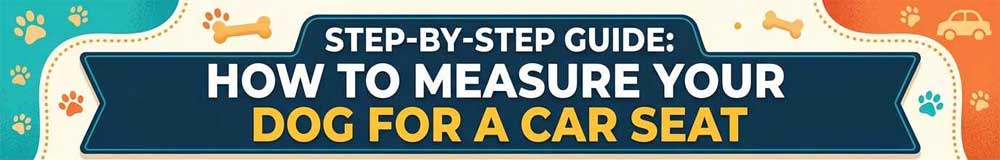 Step-by-step guide: how to measure your dog for a car seat