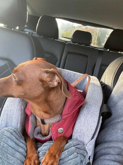 Car seat dog center console 42x22x24cm, up to 6 kg