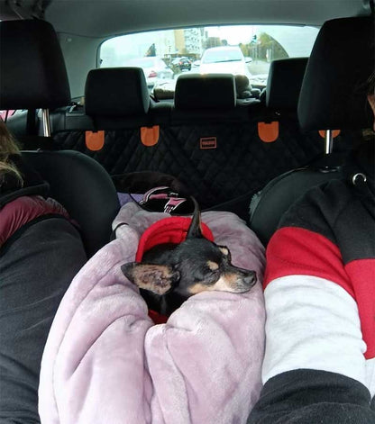 Car seat dog center console 42x22x24cm, up to 6 kg