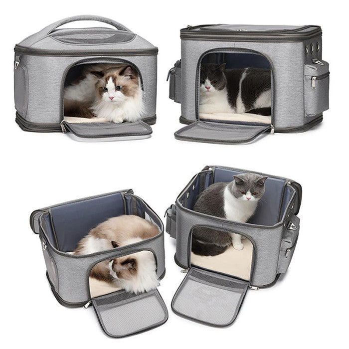 best cat travel backpack Cat Backpack for 2 Cats (or lots of kittens)