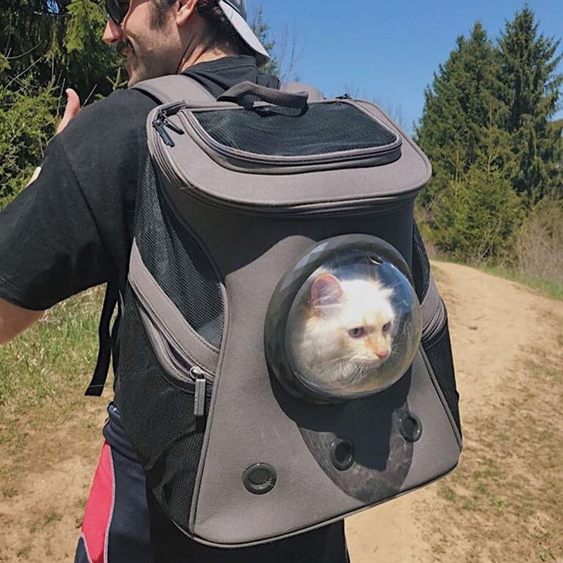 kattenrugzak voor grote katten