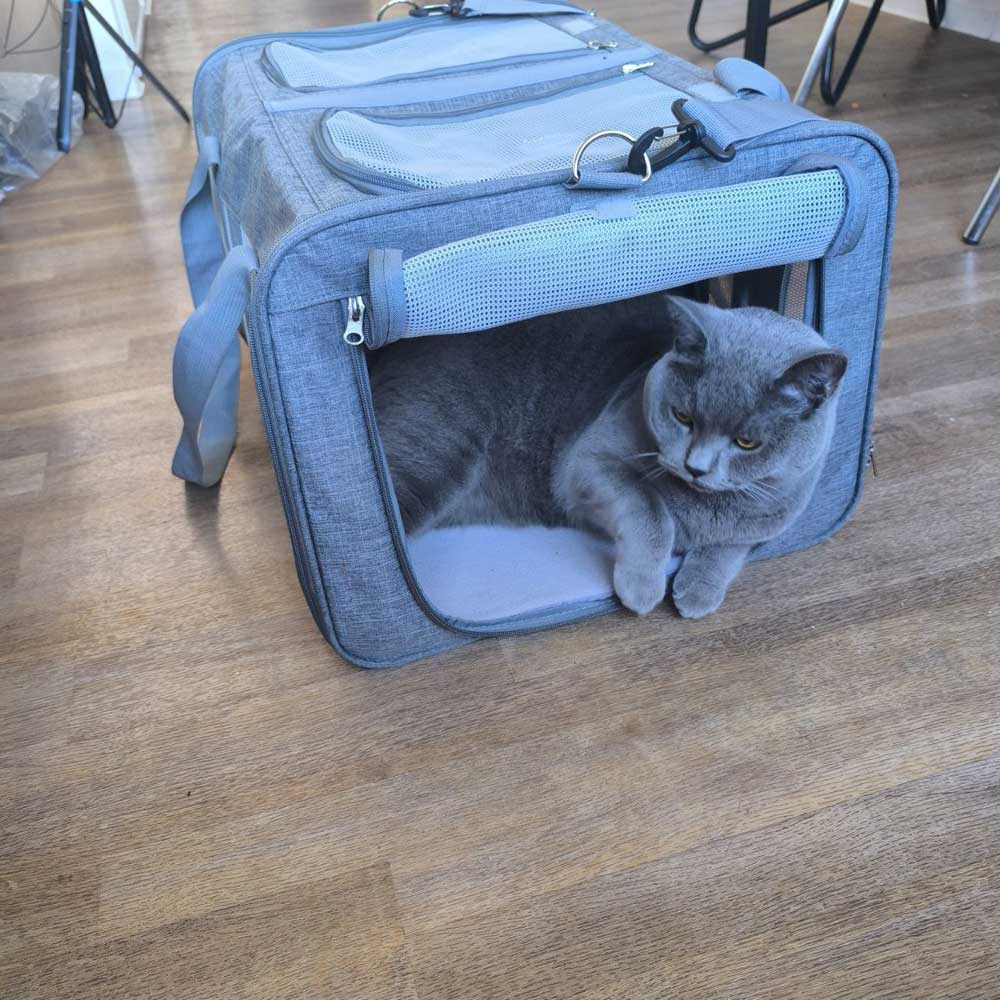 dubbele kattendraagtas bag