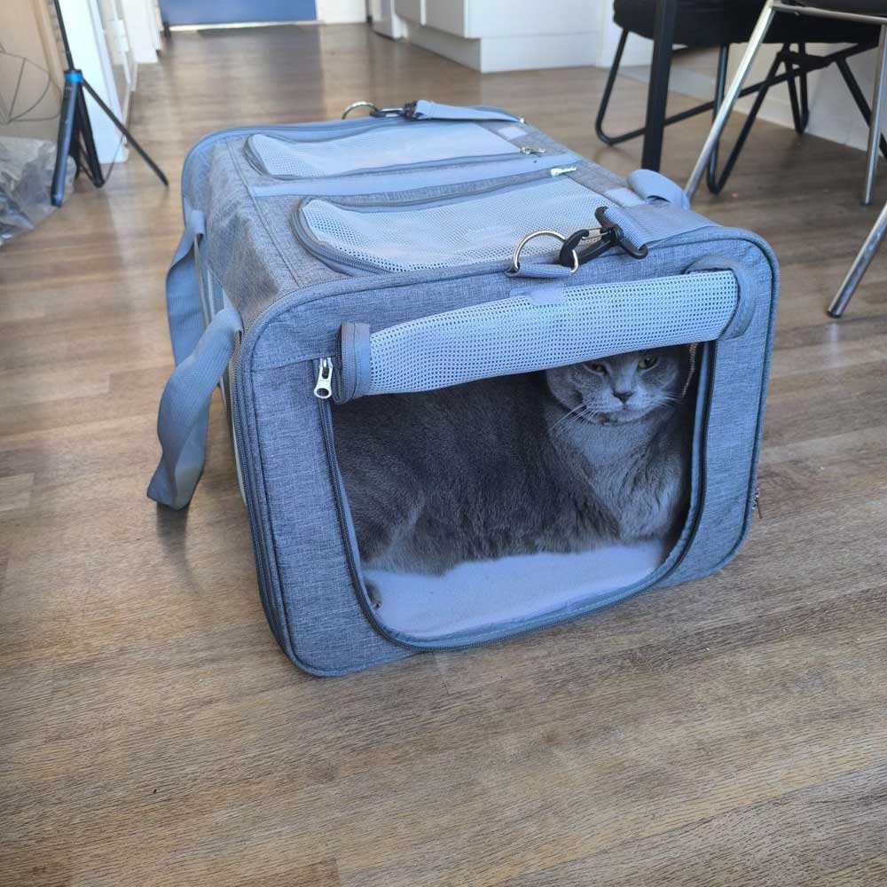 Grote kattenmand voor 2 katten 54 x 44 x 33 cm - XXL Dubbele reismand voor twee katten - totaal tot 12 kg
