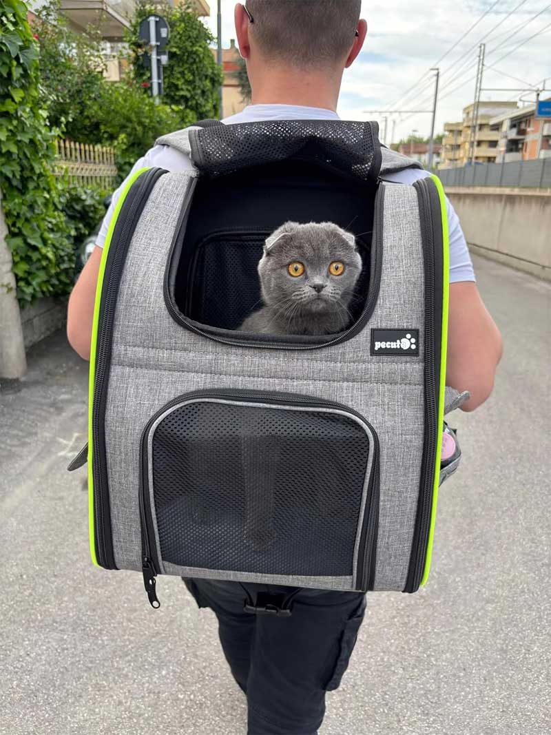 katten rugzak comfortabel voor kat