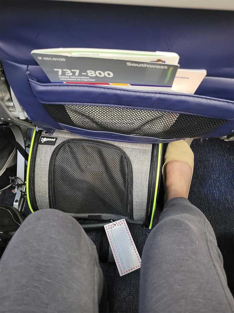 katten rugzak met extra ruimte