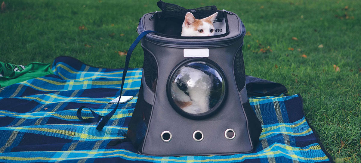 Apollo cat carrier