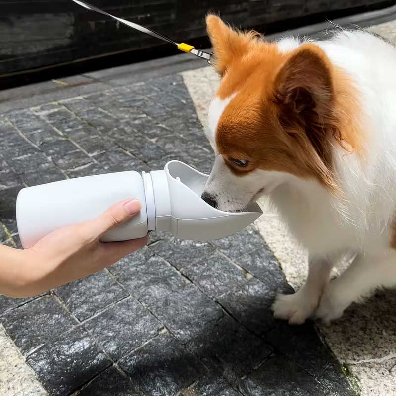 opvouwbare grote drinkfles voor honden