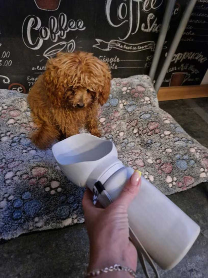SIPSTER Opvouwbare drinkfles voor honden, ideaal voor onderweg, groot, lekvrij, 550 ml
