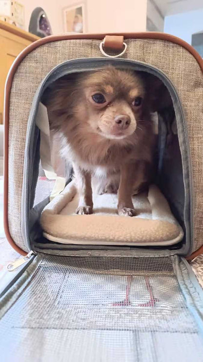 Delta airlines pet carrier 46 x 28 x 28 cm (18” x 11” x 11”) in-cabin under seat