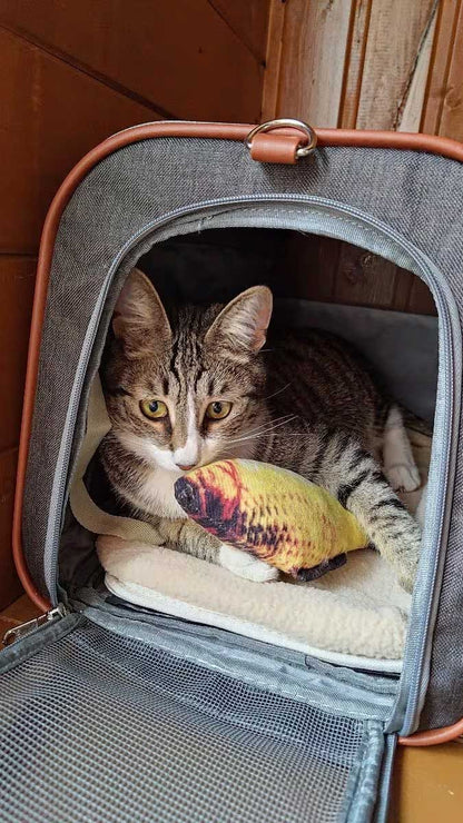 Delta airlines pet carrier 46 x 28 x 28 cm (18” x 11” x 11”) in-cabin under seat