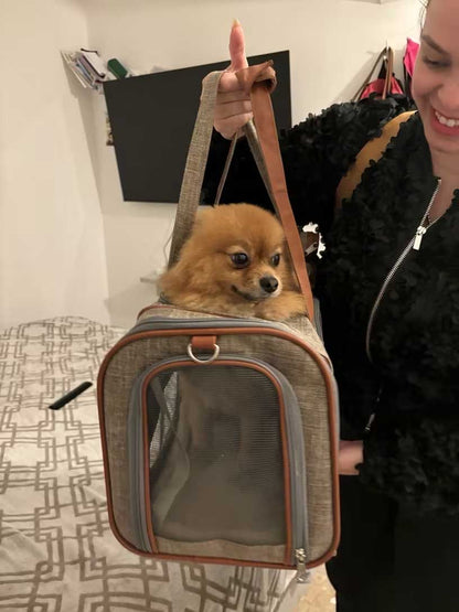 Delta airlines pet carrier 46 x 28 x 28 cm (18” x 11” x 11”) in-cabin under seat