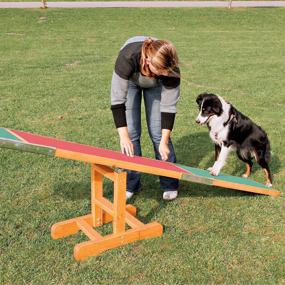 Dog agility training ramp