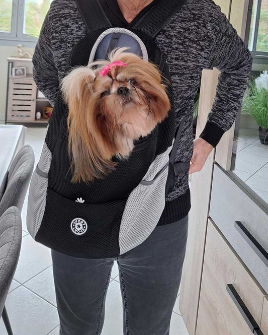 Dog Backpack 6 kg - Backpack carrier for Small dogs, Travel and Walking For front and back