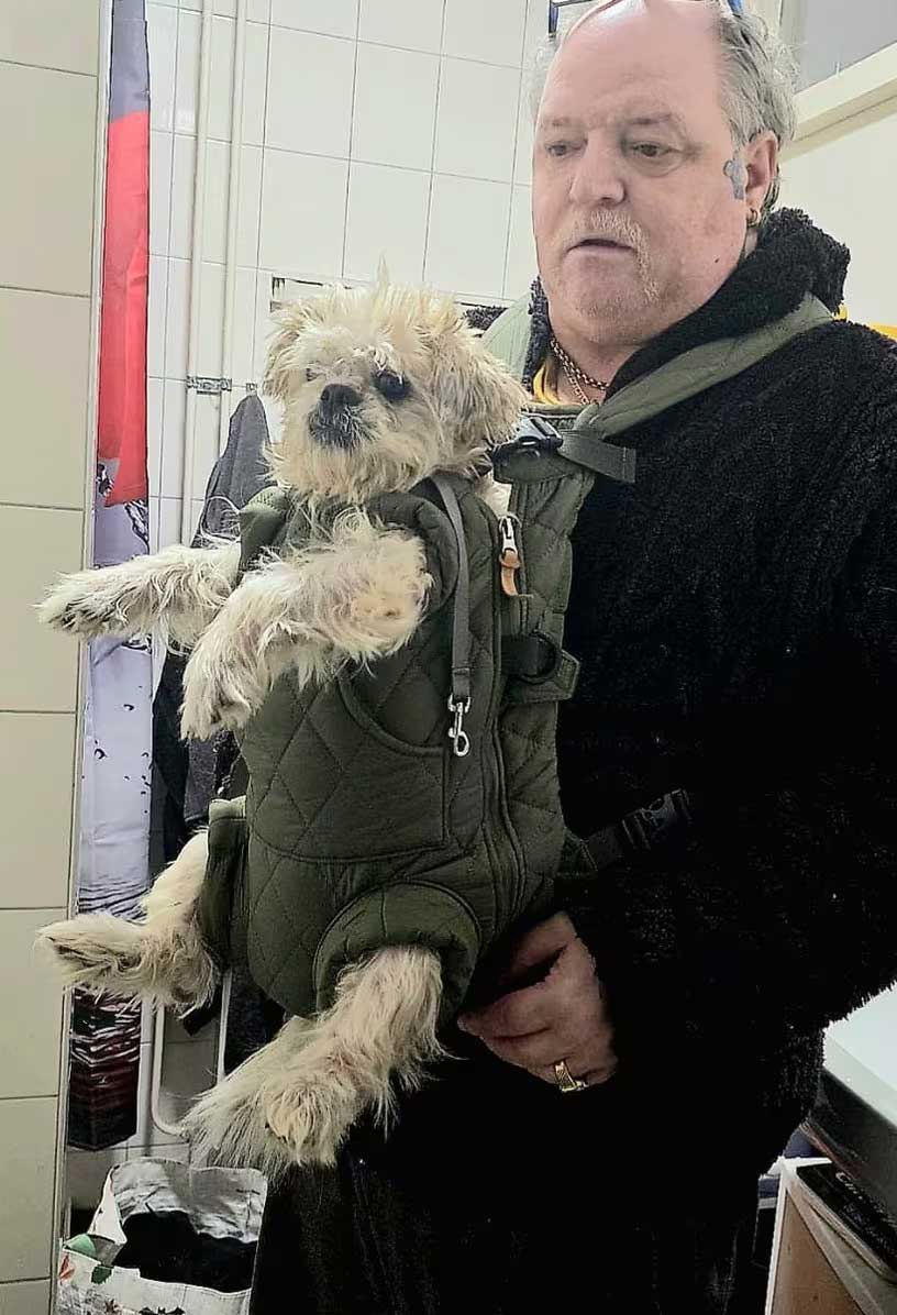 Hondenrugzak buik tot 8 kg