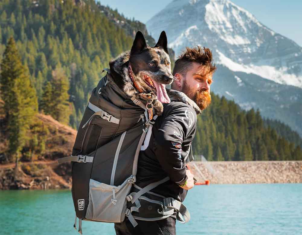 rugzak voor honden te dragen