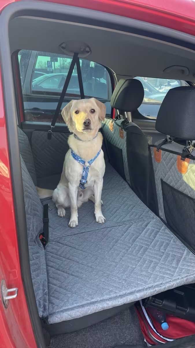 Hard Bottom Dog Car Back Seat Cover 130x65cm - Backseat Extender and Car Separator for Dogs
