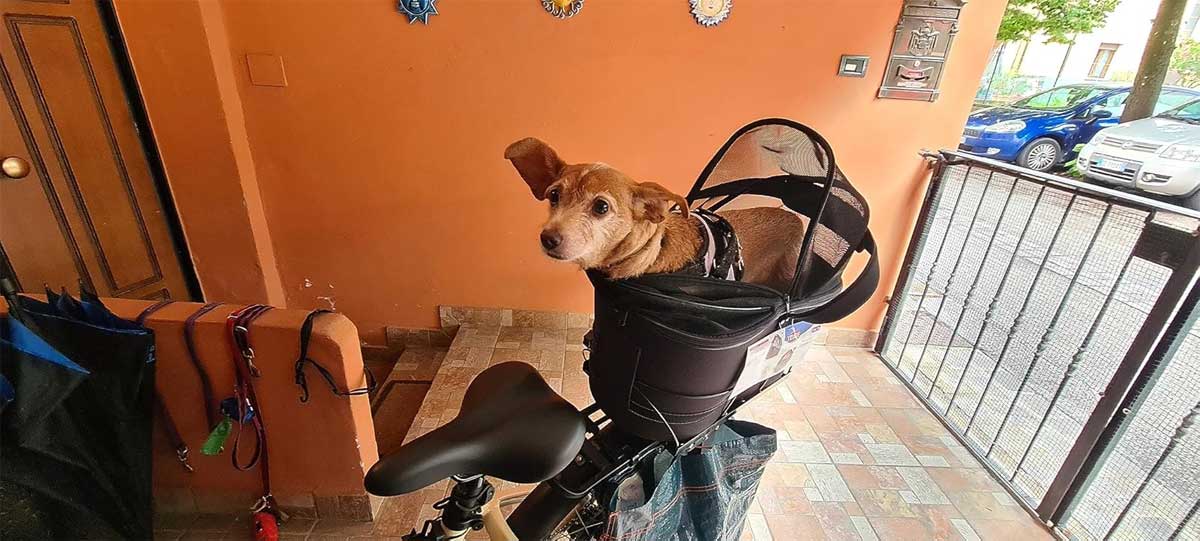 Dog basket for bike 6kg rear rack, Trixie 42x29x48cm