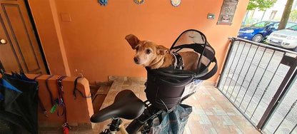 Dog basket for bike 6kg rear rack, Trixie 42x29x48cm