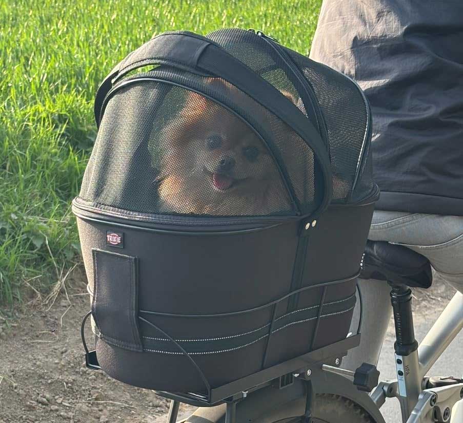 Fietsmand voor kleine honden