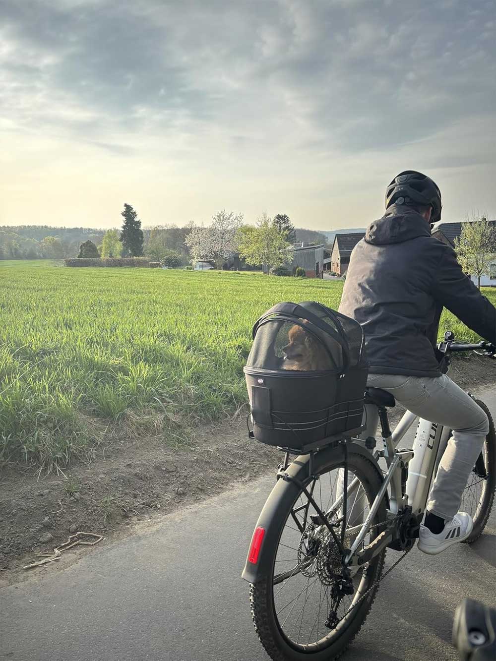 Fietsmand hond voorop