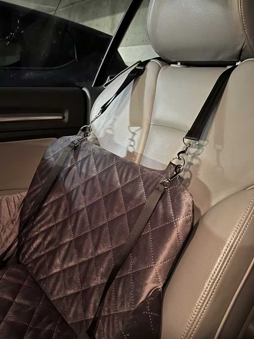 DoggoRide Dog booster seat 45x45x35 cm for one or two small dogs, puppies up to 9 kg like Chihuahua, Pomeranian, Yorkshire, Maltese