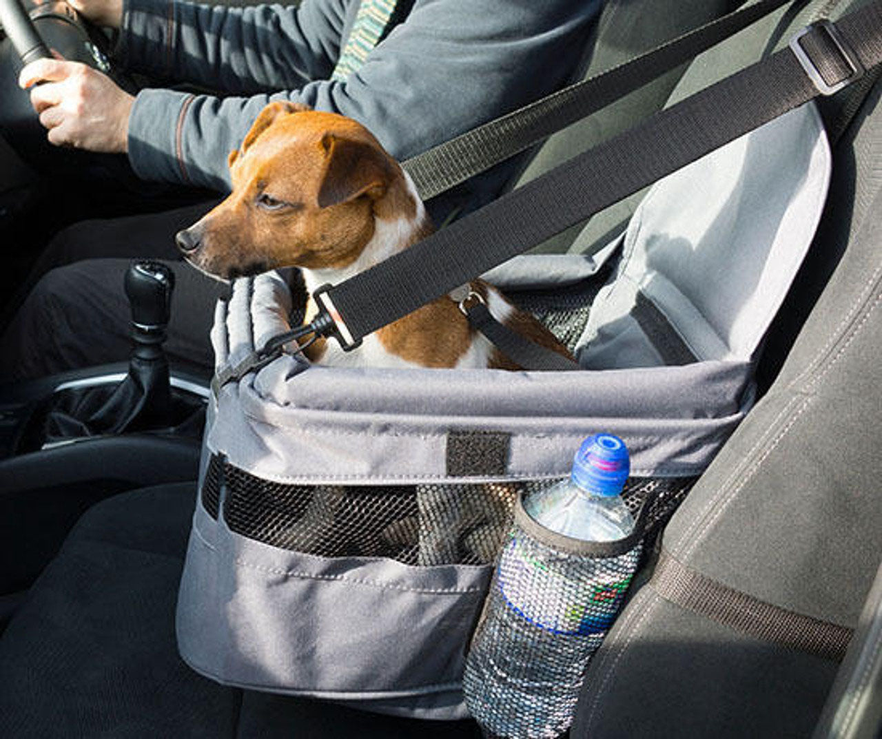 Buy Dog car booster seat Netherlands