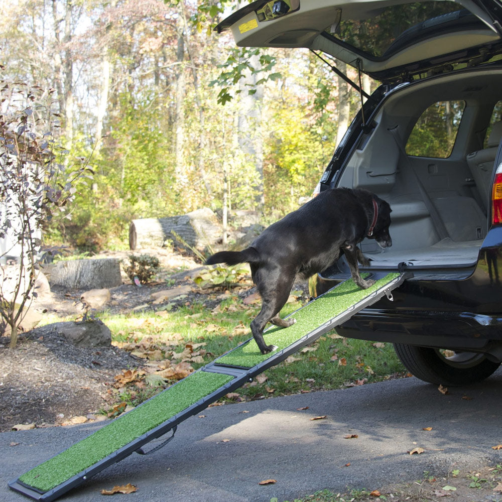 Kies de juiste hellinglengte en helling voor uw hond