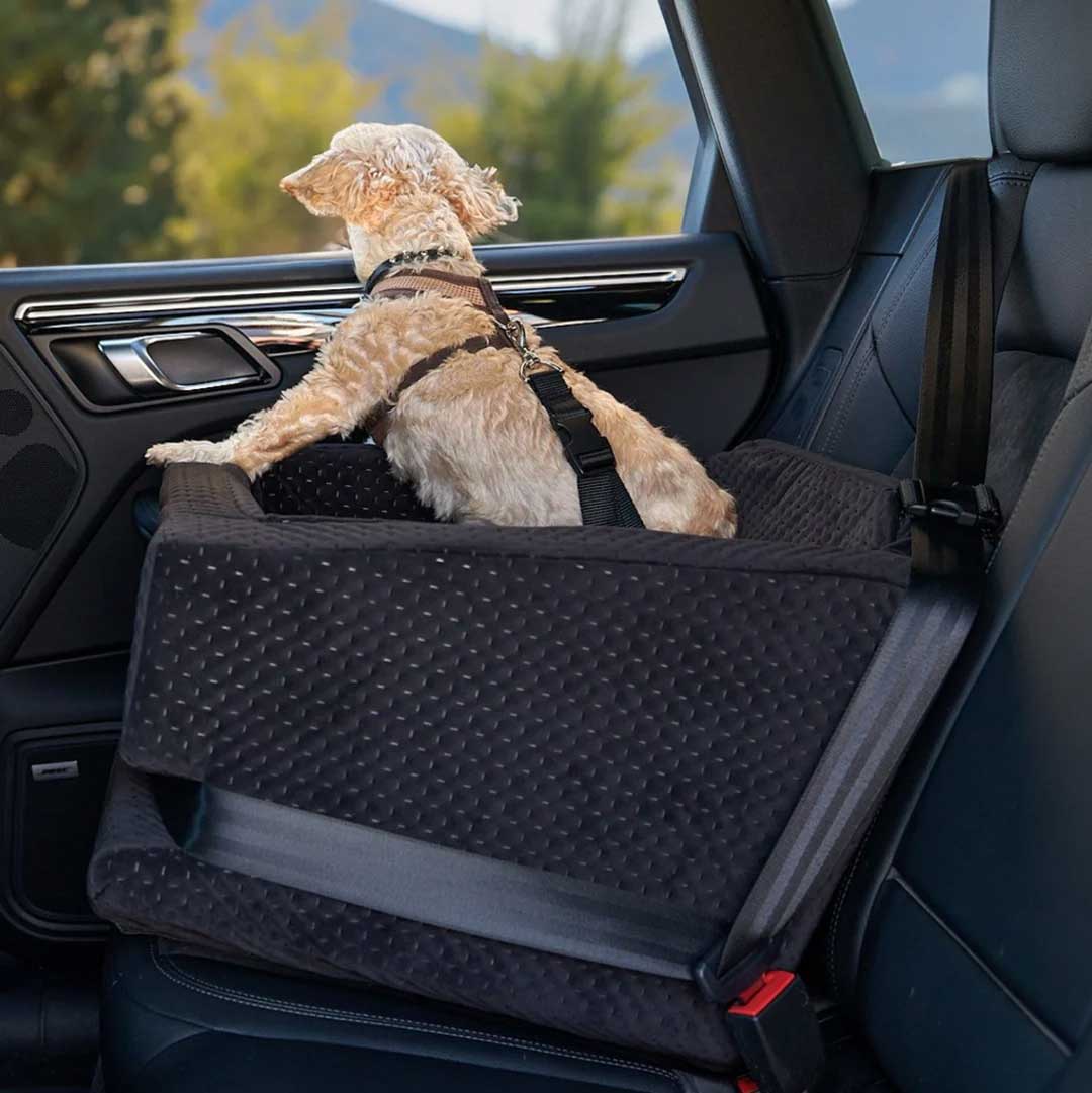 hondenautostoel kleine hond hondenautostoel kleine hond