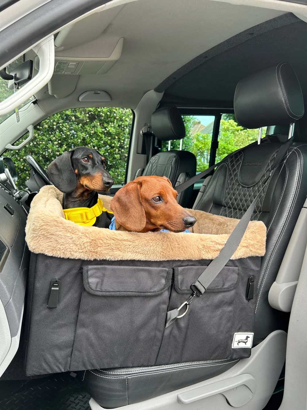 hondenautostoel 2 honden hondenautostoel 2 honden