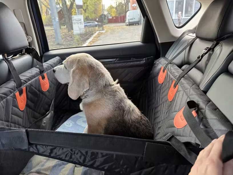 Dog car seat half hammock installed on car back seat