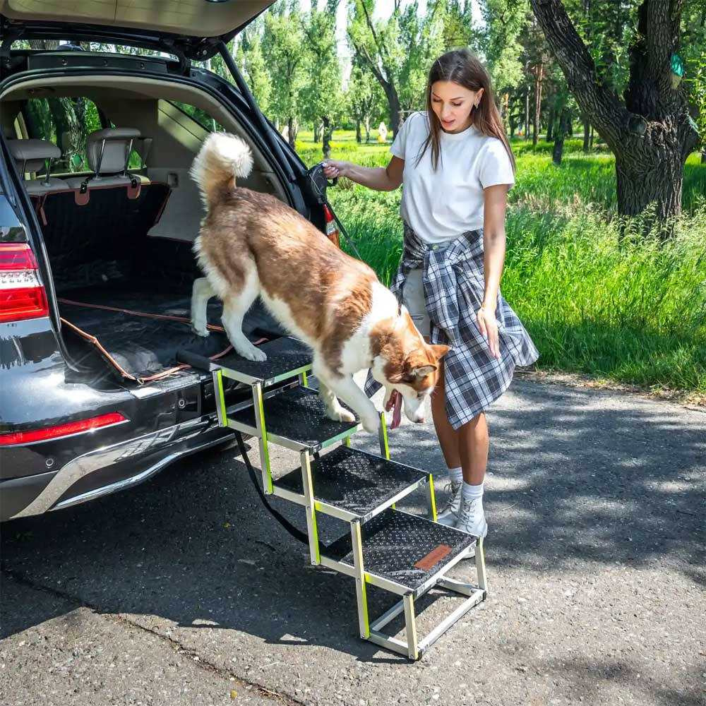 Dog ramp with non-slip steps