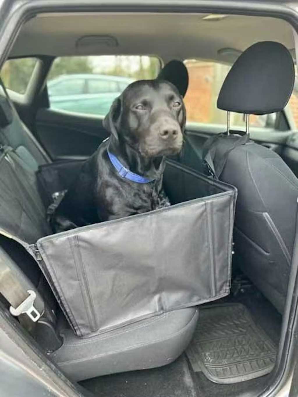 Half hammock dog car seat up to 25kg