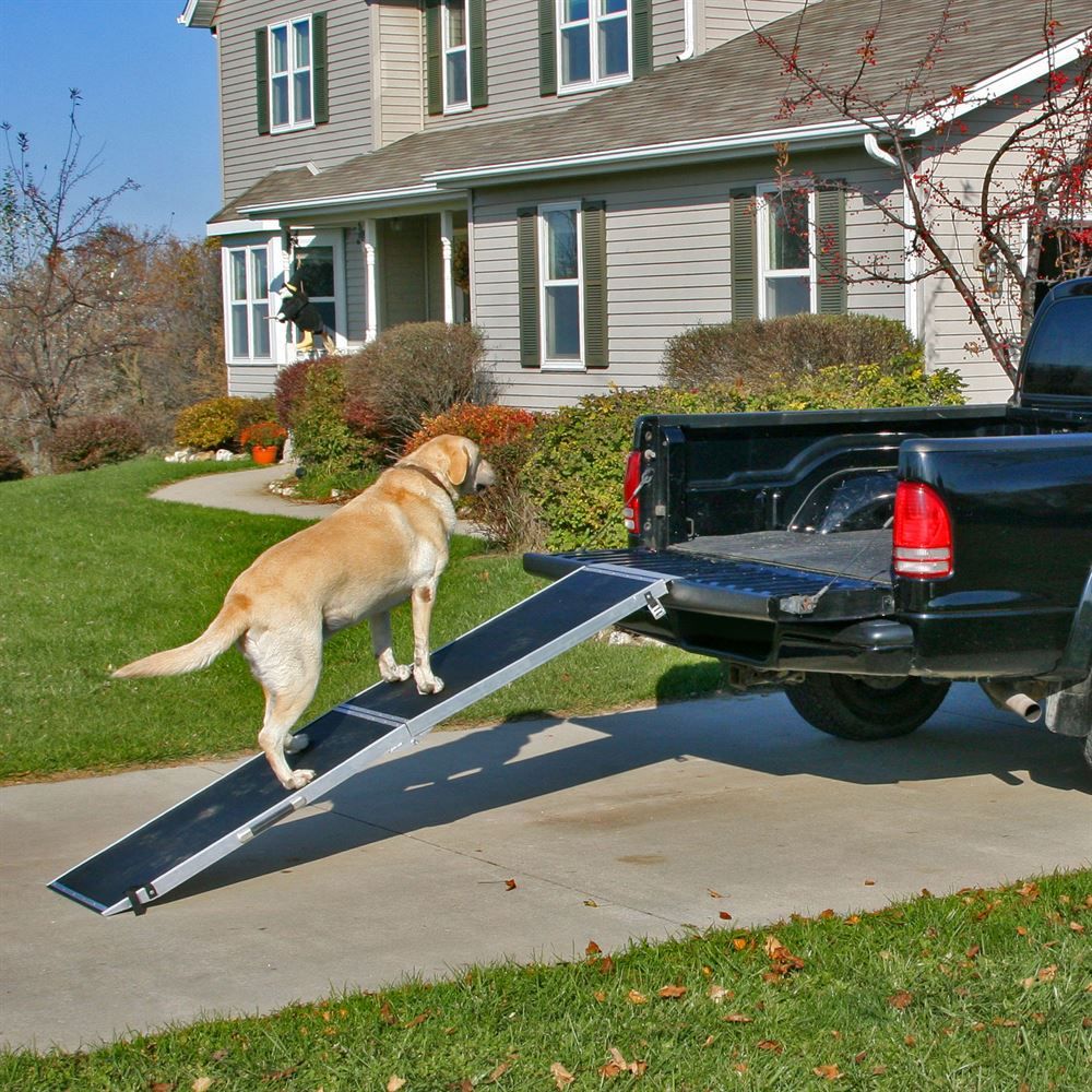 Dog ramp for car