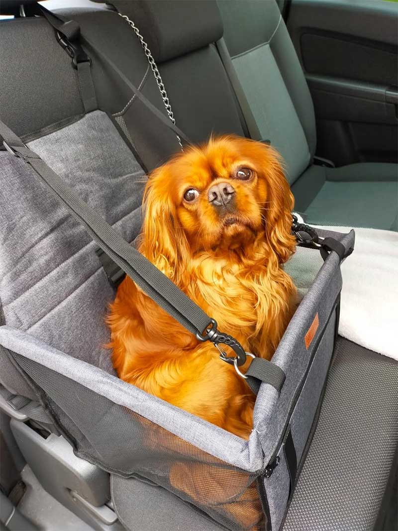 honden autostoel met gordel