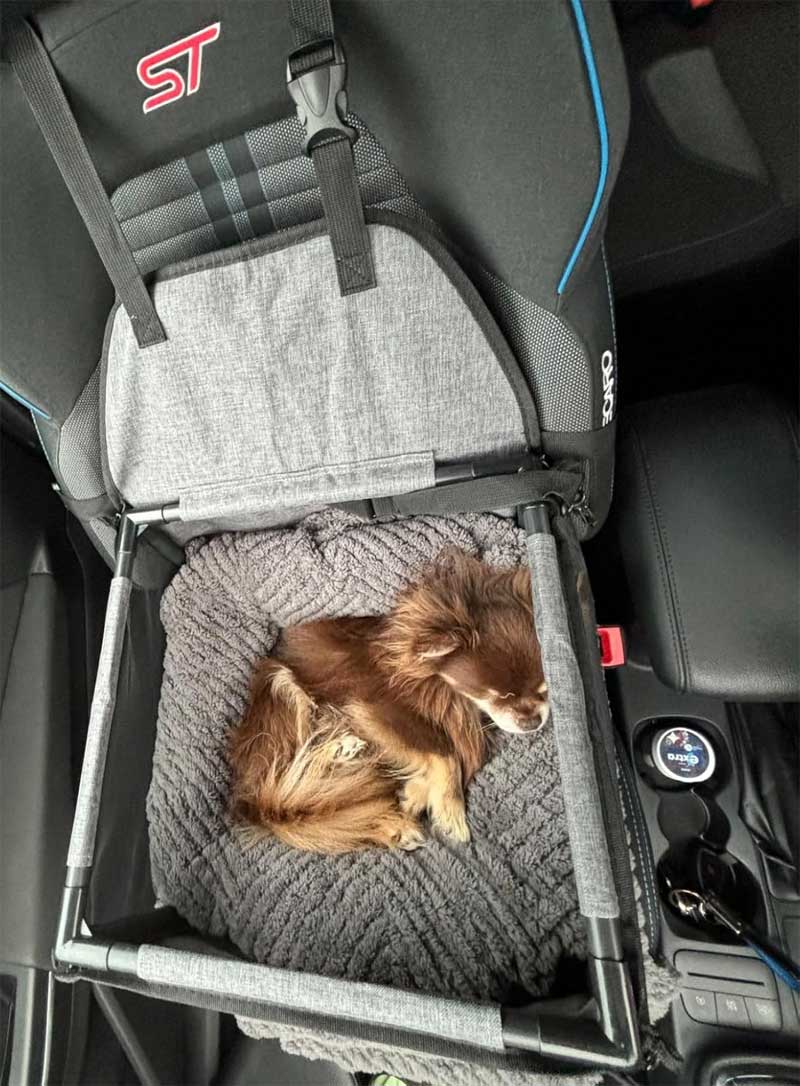 Car seat for small dogs up to 6kg, Dog seat with sturdy PVC frame