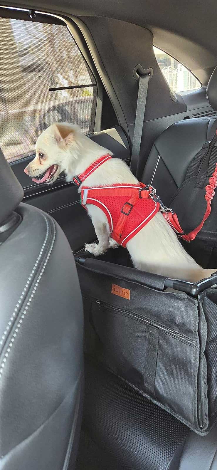 Car seat for small dogs up to 6kg, Dog seat with sturdy PVC frame