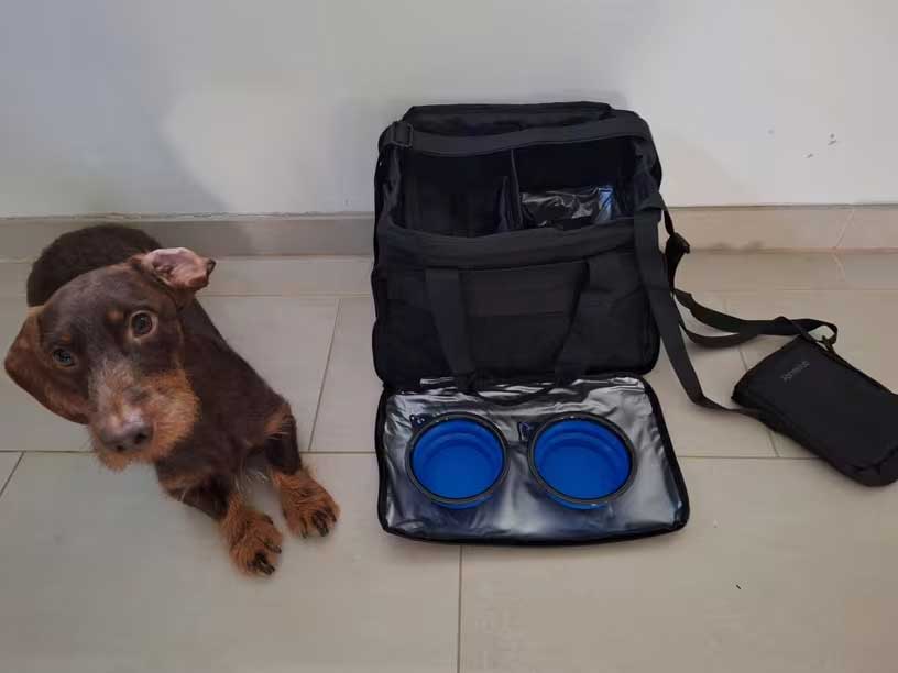 Skyora Dog travel bag for supplies 40x30x24cm, airline approved, 6-piece dog travel kit