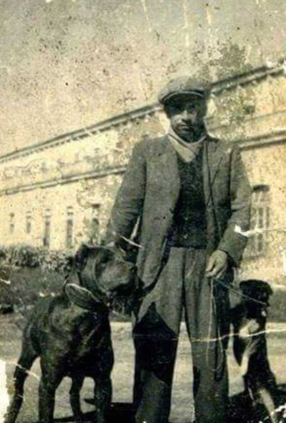 cane corso history