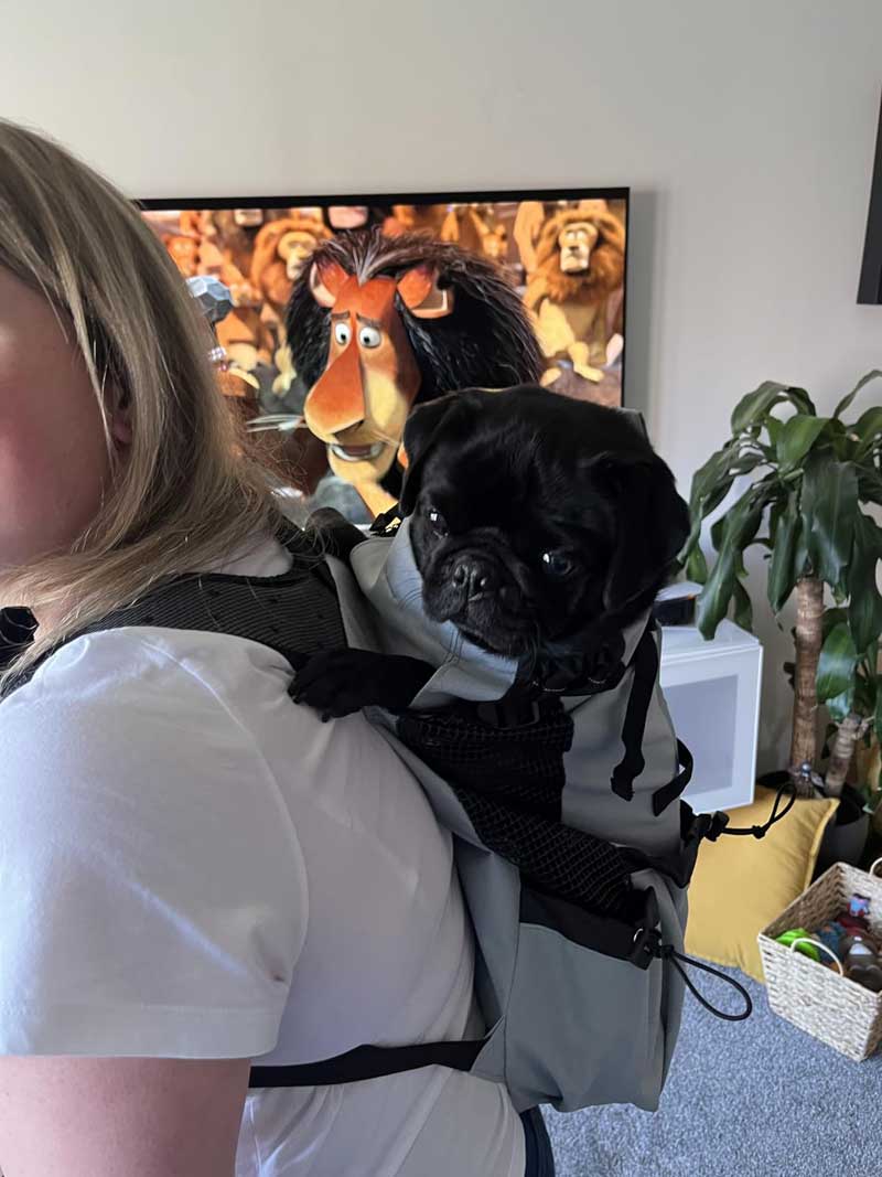 Hondenrugzak 10 kg - voor Reizen en Wandelen