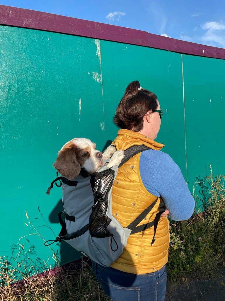 rugzak voor middelgrote hond