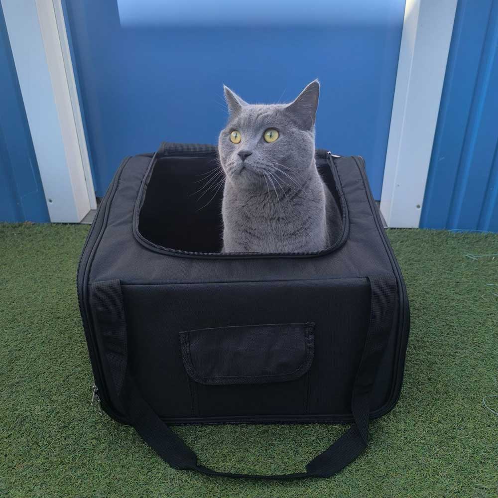 pet carrier for car