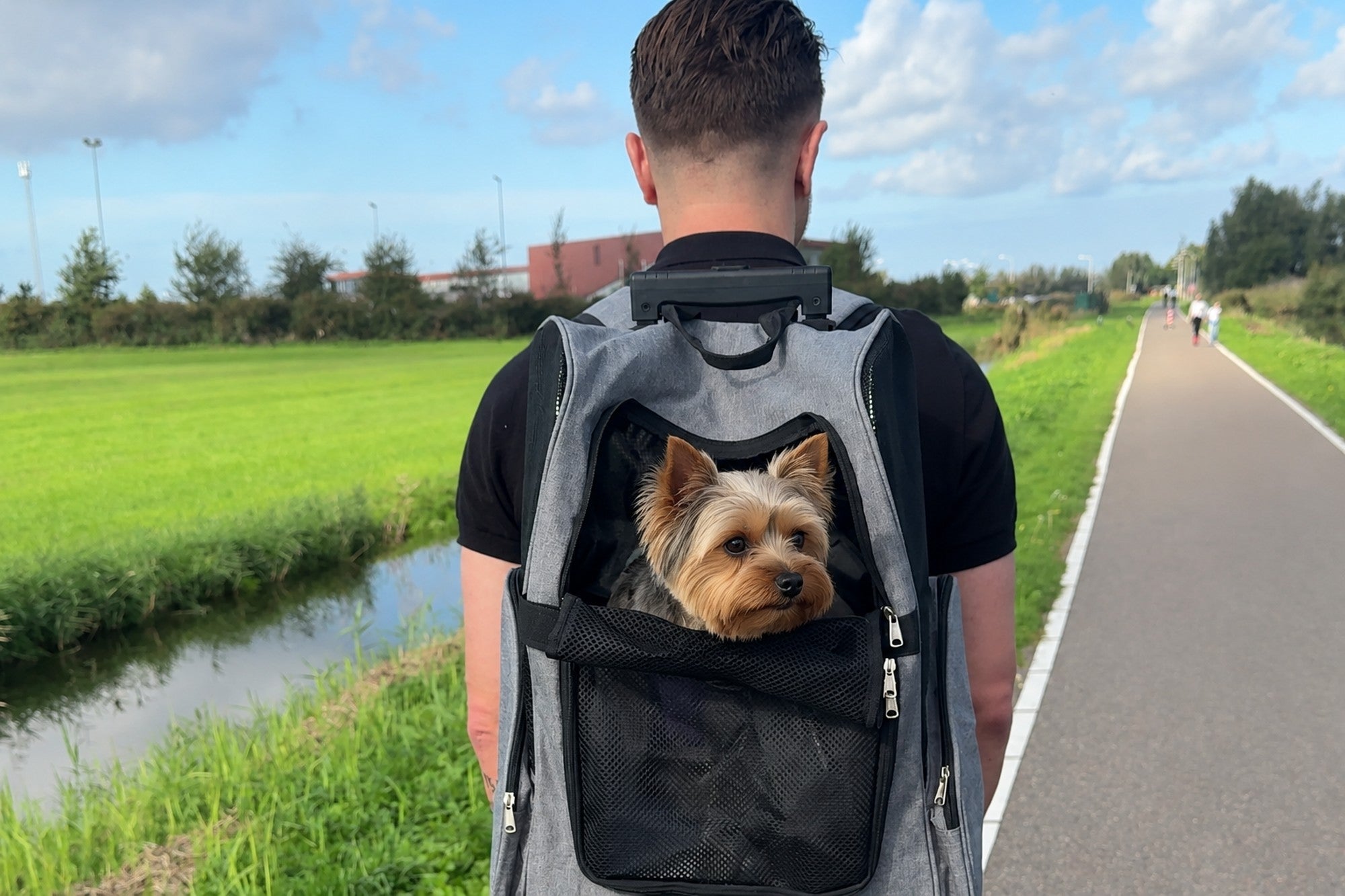 Yorkshire terriër in de hondentrolley, gedragen als rugzak op een wandelpad