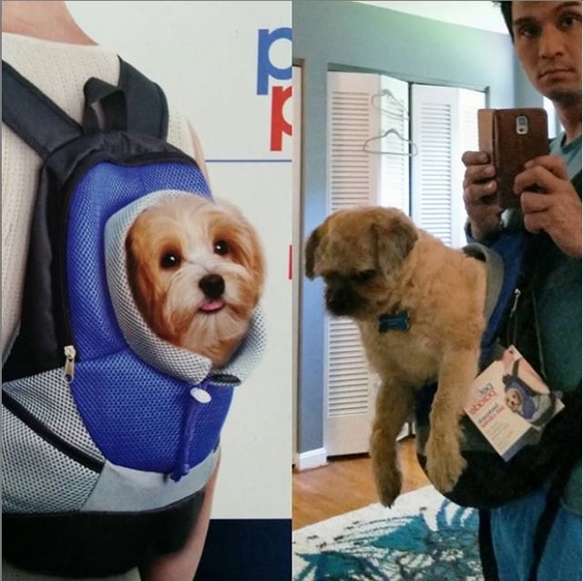 Een situatie waarin de rugzak van een hond verkeerd is gekozen