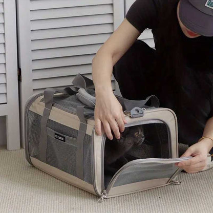 ITA Airways huisdierendraagtas 40x30x24 cm voor honden en katten - Door de luchtvaartmaatschappij goedgekeurd voor gebruik in de cabine op binnenlandse vluchten