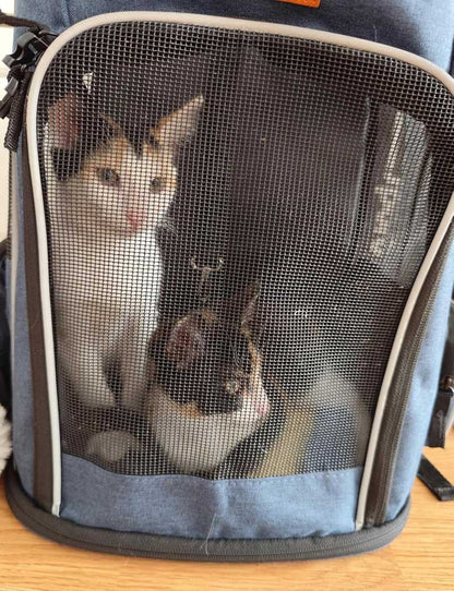 Rugzak voor katten met venster en ventilatie 33 x 28 x 42 cm – Katten rugzak draagtas tot 7 kg – Ergonomische katten draagtas rugzak – Draagbare reisrugzak voor katten – Outdoor kattenrugzak met gaas voor wandelen en reizen