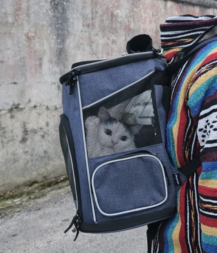 ergonomische kattenrugzak