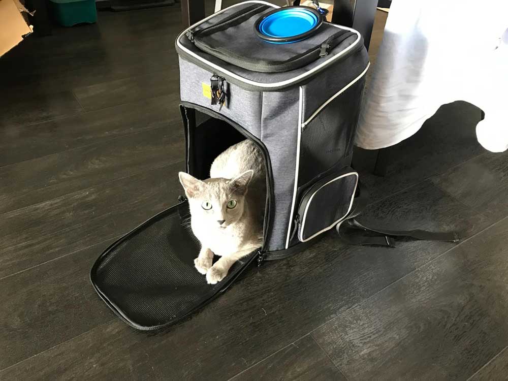 Rugzak voor katten met venster en ventilatie 33 x 28 x 42 cm – Katten rugzak draagtas tot 7 kg – Ergonomische katten draagtas rugzak – Draagbare reisrugzak voor katten – Outdoor kattenrugzak met gaas voor wandelen en reizen