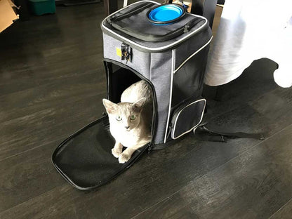 Rugzak voor katten met venster en ventilatie 33 x 28 x 42 cm – Katten rugzak draagtas tot 7 kg – Ergonomische katten draagtas rugzak – Draagbare reisrugzak voor katten – Outdoor kattenrugzak met gaas voor wandelen en reizen